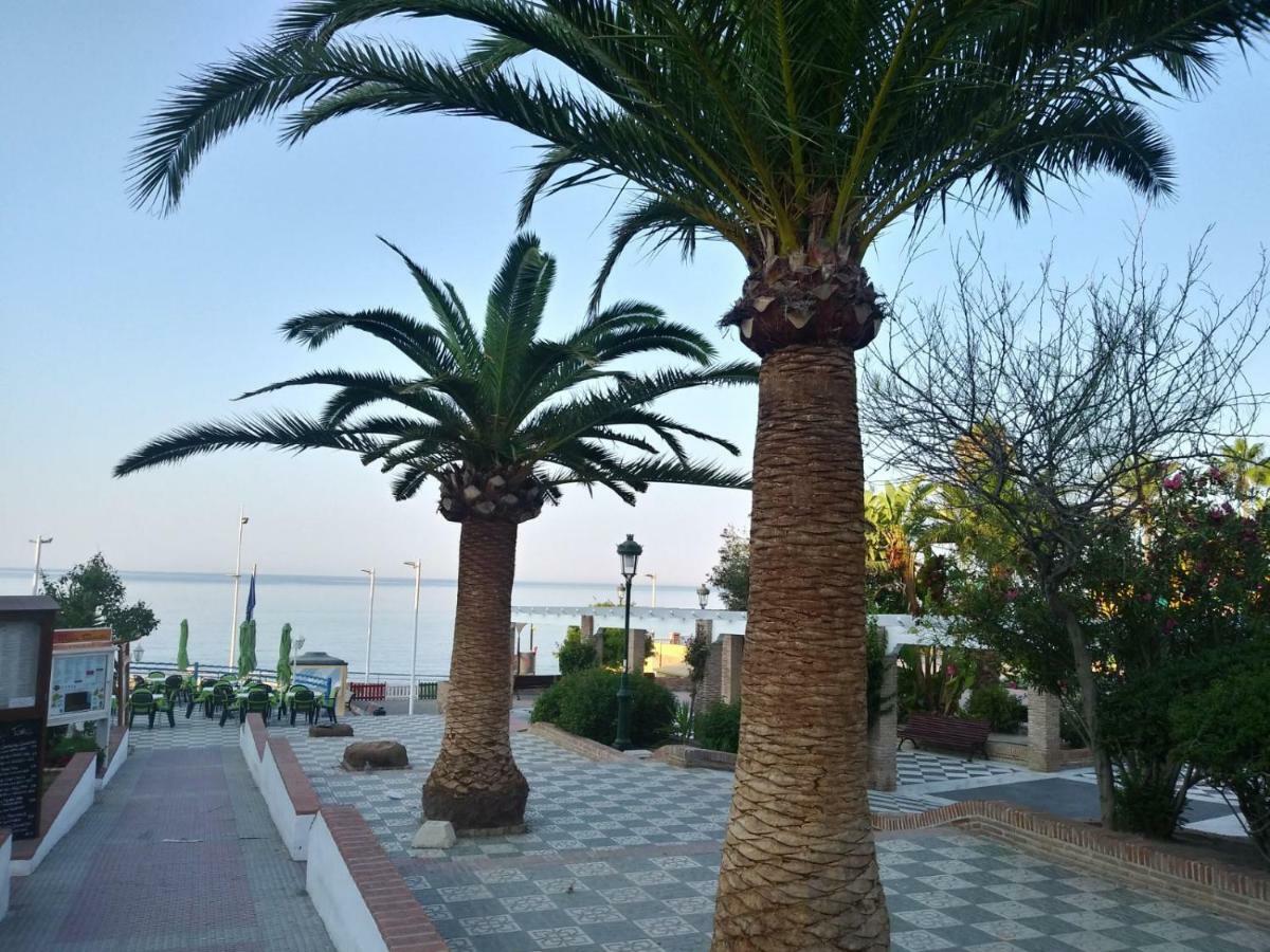 Apartment Solymar *